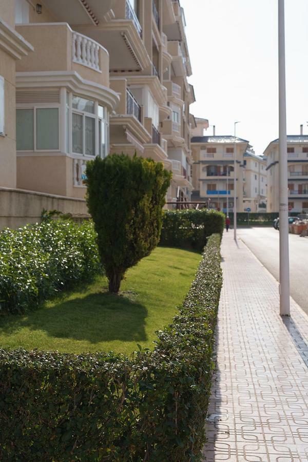 Apartment Sunny La Mata La Mata  Eksteriør bilde